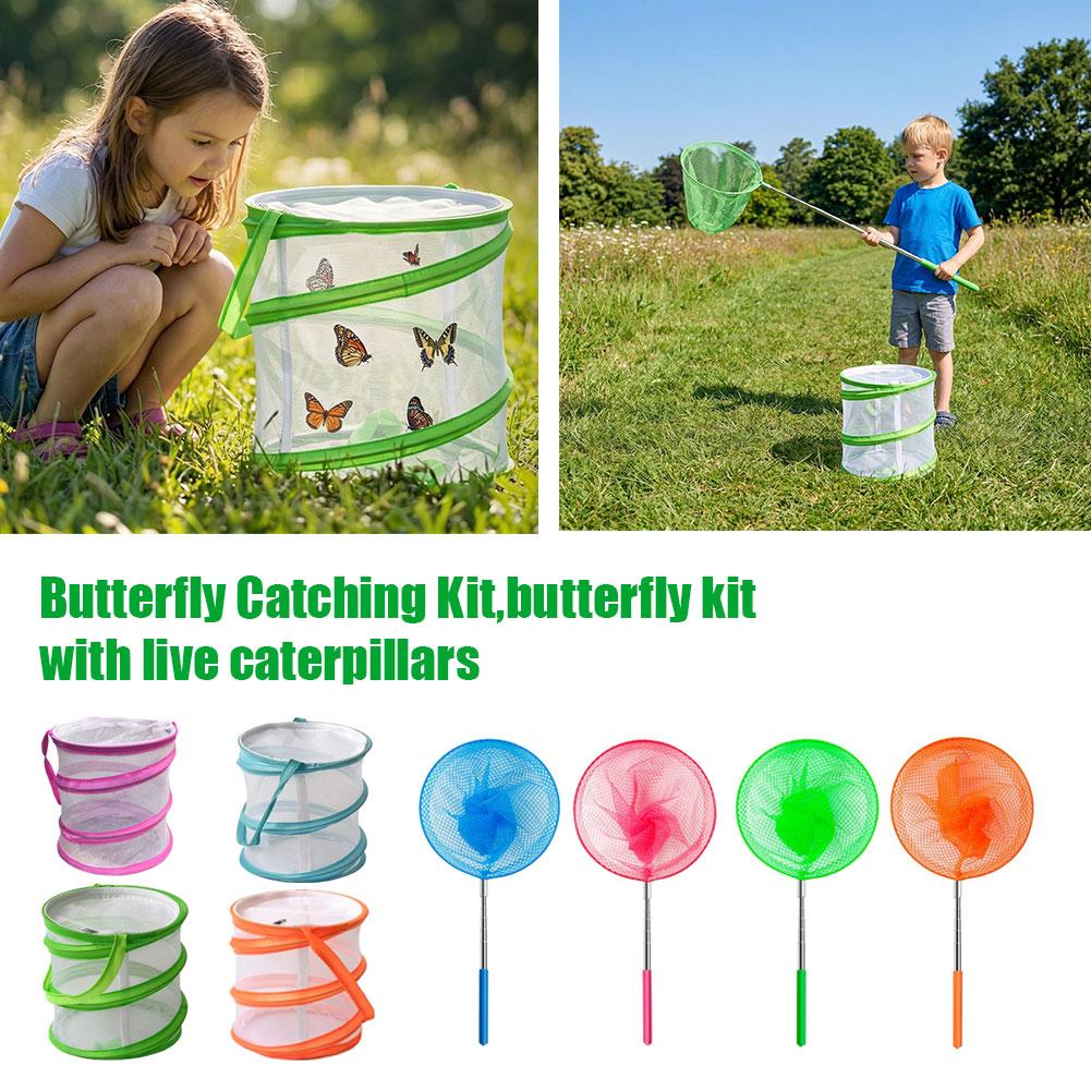 Kit de Captura de Borboletas p - Kids Outdoor Nature Toys avaliação e preço